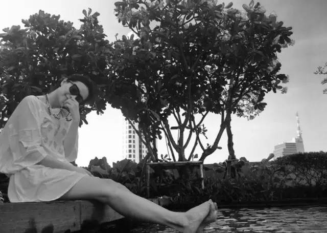 娱乐圈知名女导演_徐静蕾导演作品票房破亿_徐静蕾才女多才多艺